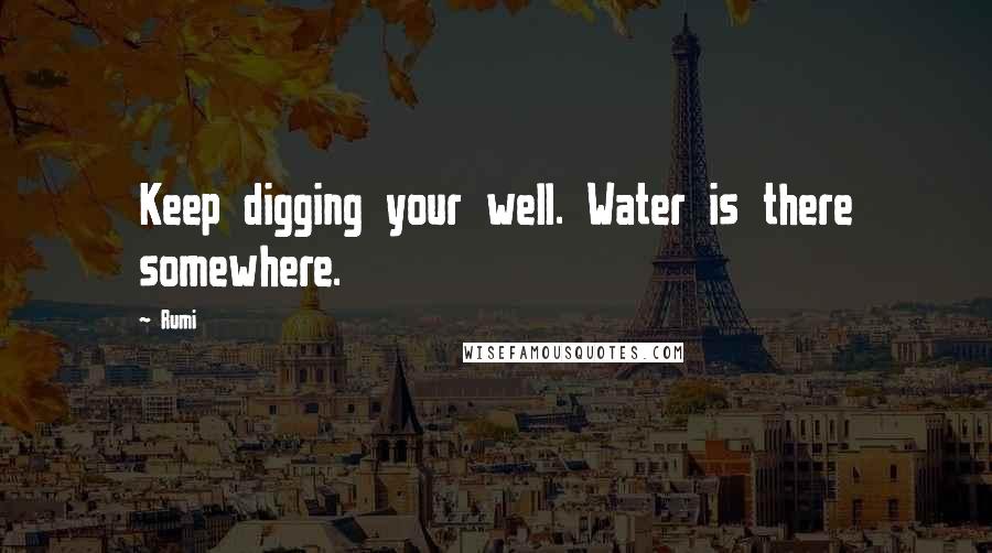 Rumi Quotes: Keep digging your well. Water is there somewhere.