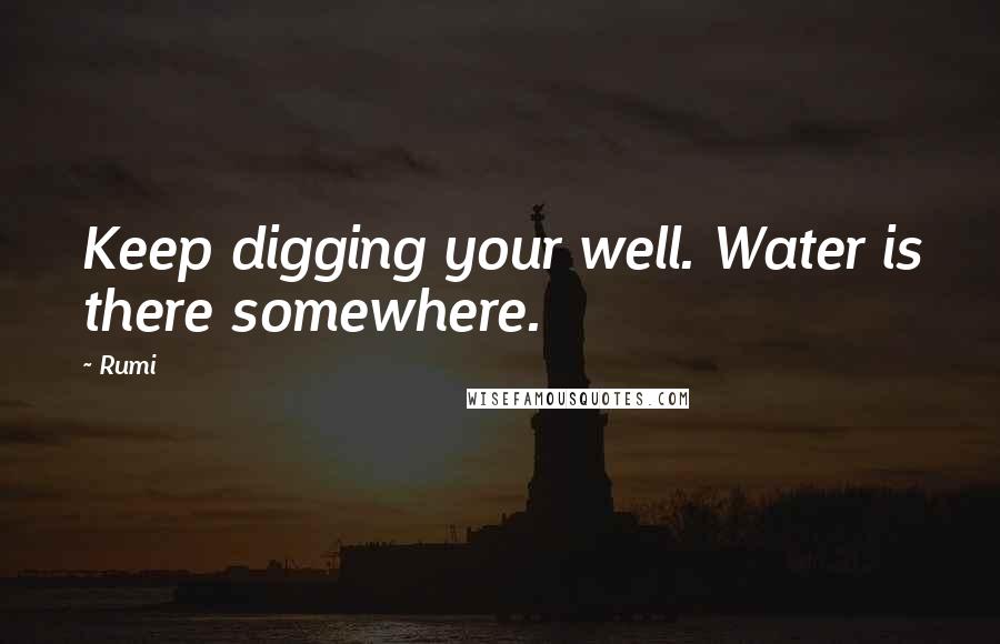 Rumi Quotes: Keep digging your well. Water is there somewhere.