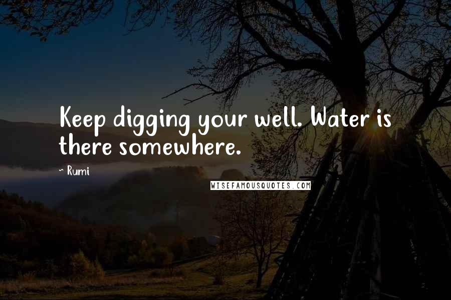 Rumi Quotes: Keep digging your well. Water is there somewhere.