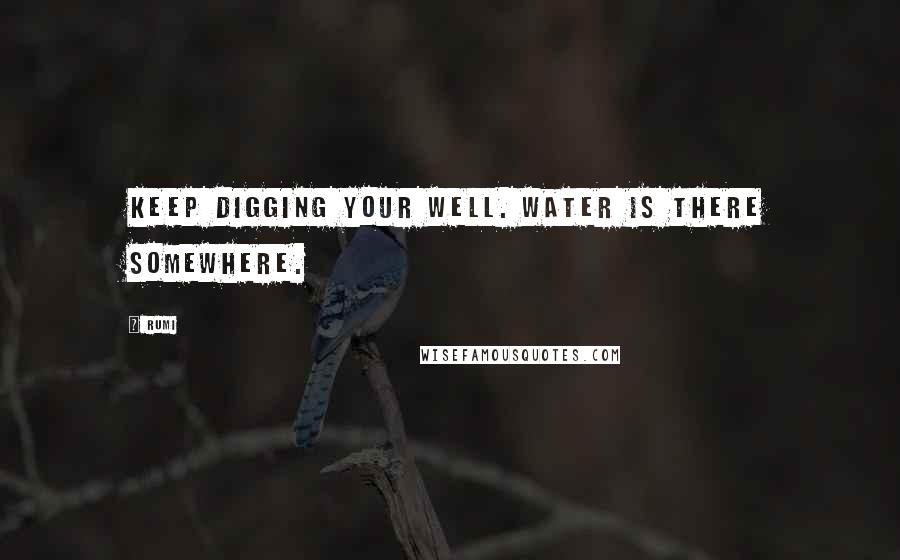 Rumi Quotes: Keep digging your well. Water is there somewhere.