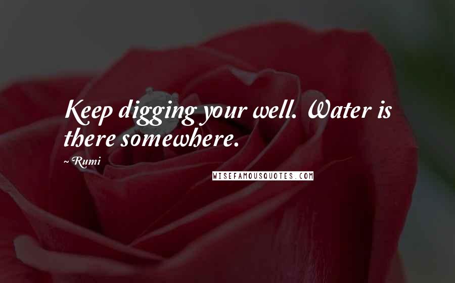 Rumi Quotes: Keep digging your well. Water is there somewhere.