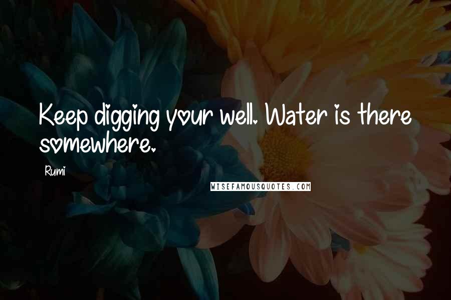 Rumi Quotes: Keep digging your well. Water is there somewhere.