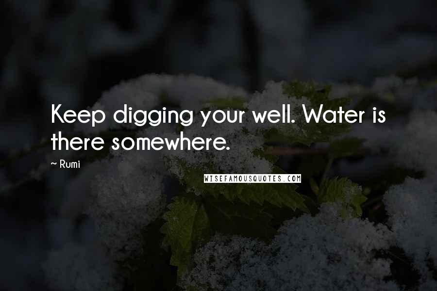 Rumi Quotes: Keep digging your well. Water is there somewhere.