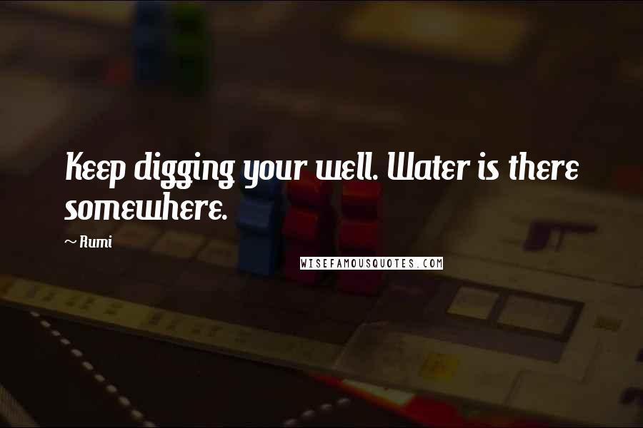 Rumi Quotes: Keep digging your well. Water is there somewhere.