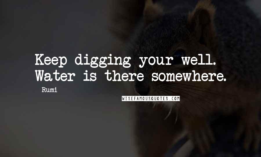 Rumi Quotes: Keep digging your well. Water is there somewhere.