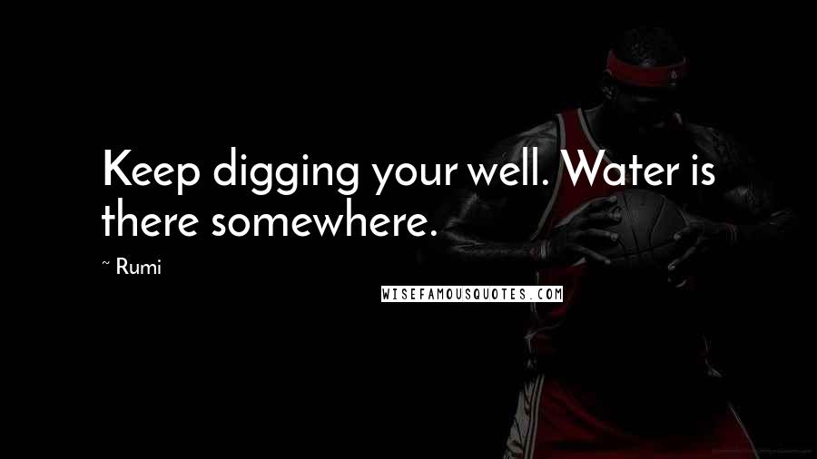 Rumi Quotes: Keep digging your well. Water is there somewhere.