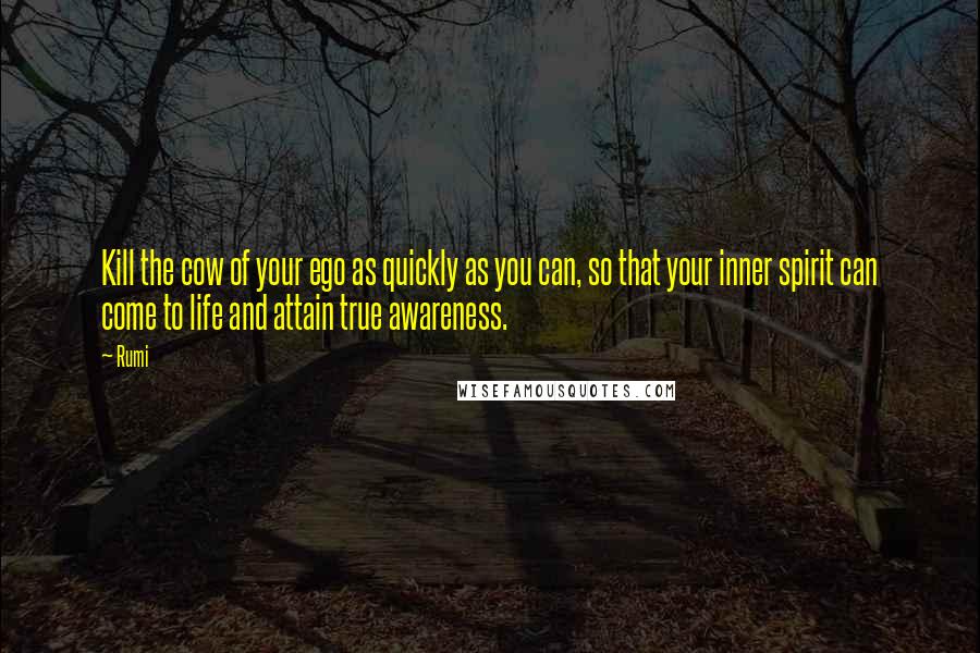 Rumi Quotes: Kill the cow of your ego as quickly as you can, so that your inner spirit can come to life and attain true awareness.