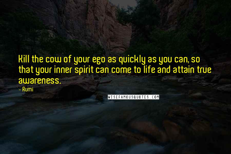 Rumi Quotes: Kill the cow of your ego as quickly as you can, so that your inner spirit can come to life and attain true awareness.