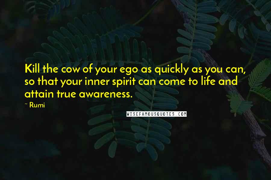 Rumi Quotes: Kill the cow of your ego as quickly as you can, so that your inner spirit can come to life and attain true awareness.