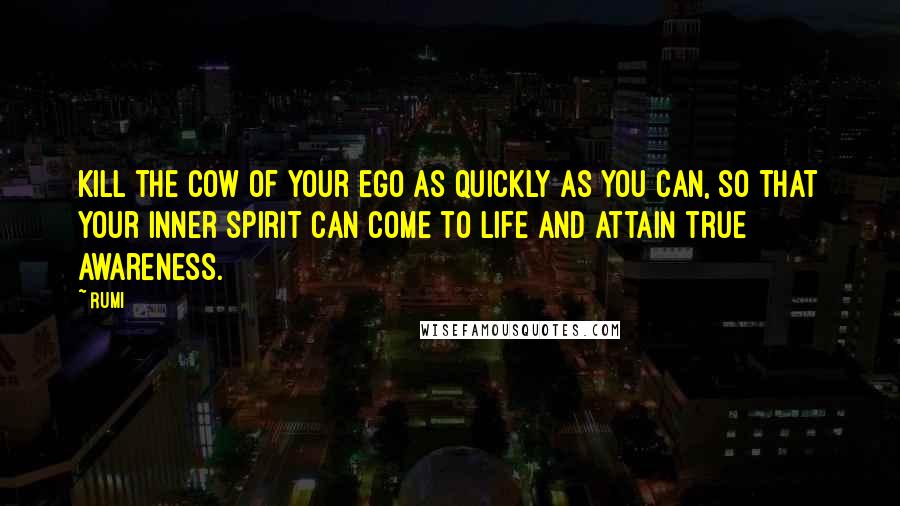 Rumi Quotes: Kill the cow of your ego as quickly as you can, so that your inner spirit can come to life and attain true awareness.