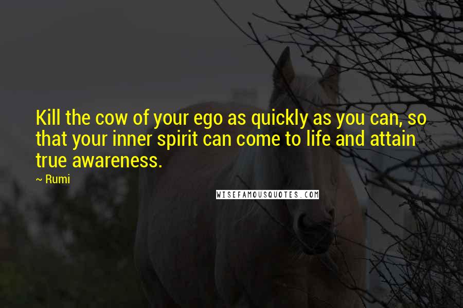 Rumi Quotes: Kill the cow of your ego as quickly as you can, so that your inner spirit can come to life and attain true awareness.