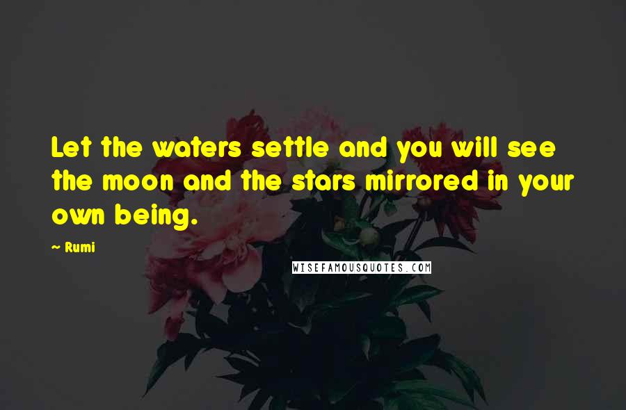 Rumi Quotes: Let the waters settle and you will see the moon and the stars mirrored in your own being.