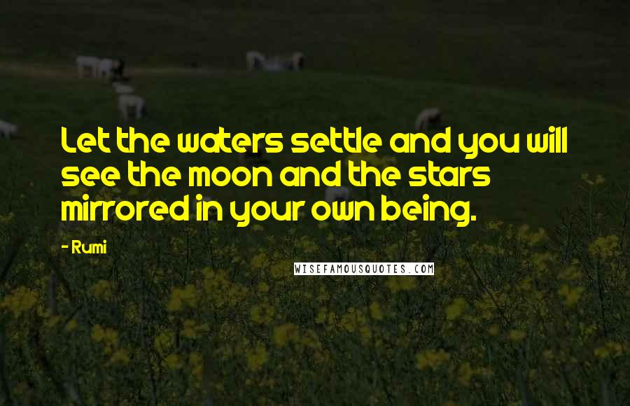 Rumi Quotes: Let the waters settle and you will see the moon and the stars mirrored in your own being.