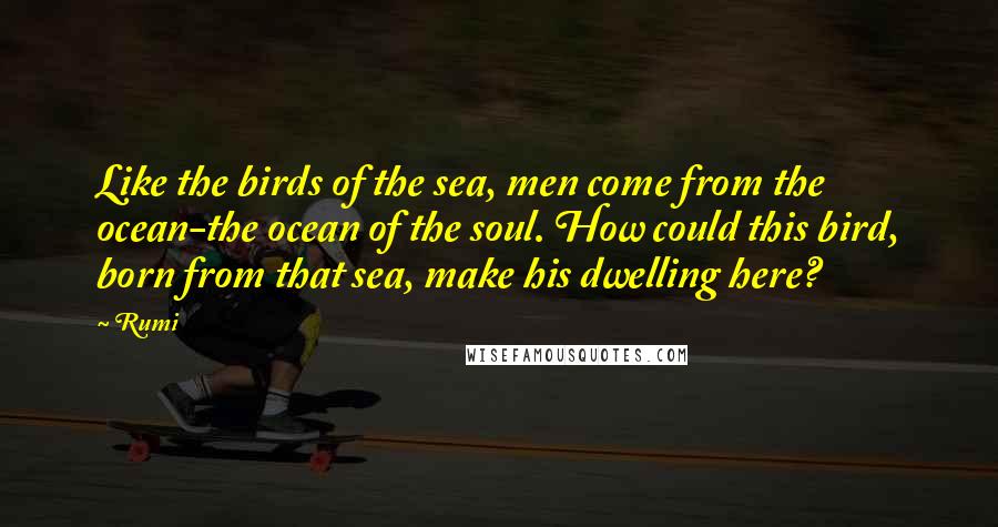 Rumi Quotes: Like the birds of the sea, men come from the ocean-the ocean of the soul. How could this bird, born from that sea, make his dwelling here?