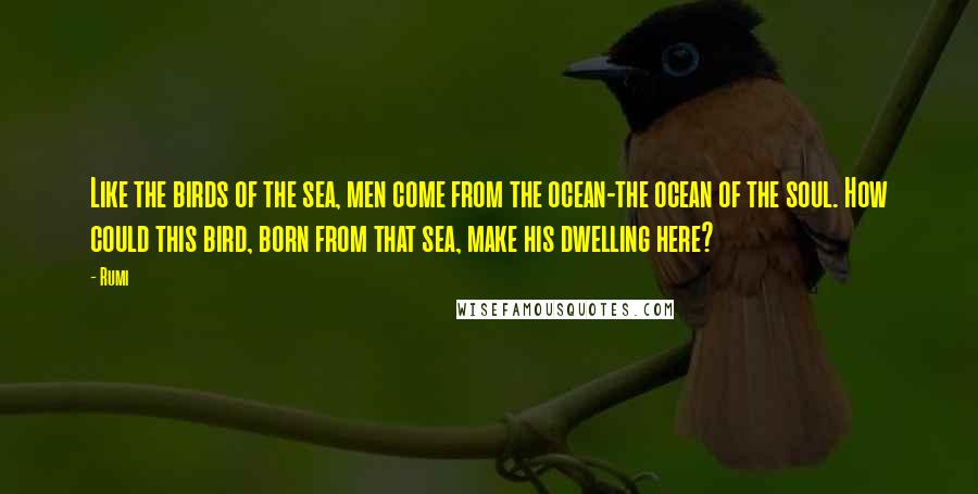 Rumi Quotes: Like the birds of the sea, men come from the ocean-the ocean of the soul. How could this bird, born from that sea, make his dwelling here?