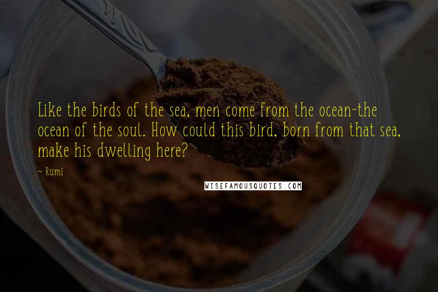 Rumi Quotes: Like the birds of the sea, men come from the ocean-the ocean of the soul. How could this bird, born from that sea, make his dwelling here?