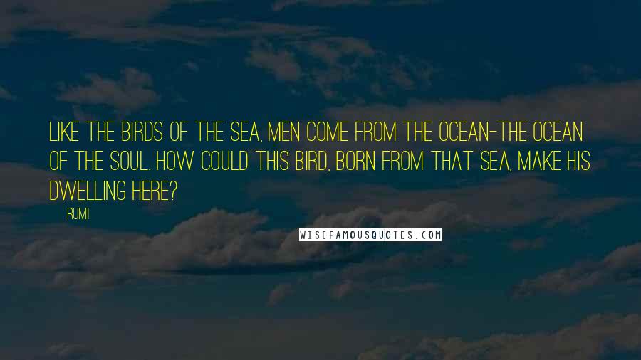 Rumi Quotes: Like the birds of the sea, men come from the ocean-the ocean of the soul. How could this bird, born from that sea, make his dwelling here?