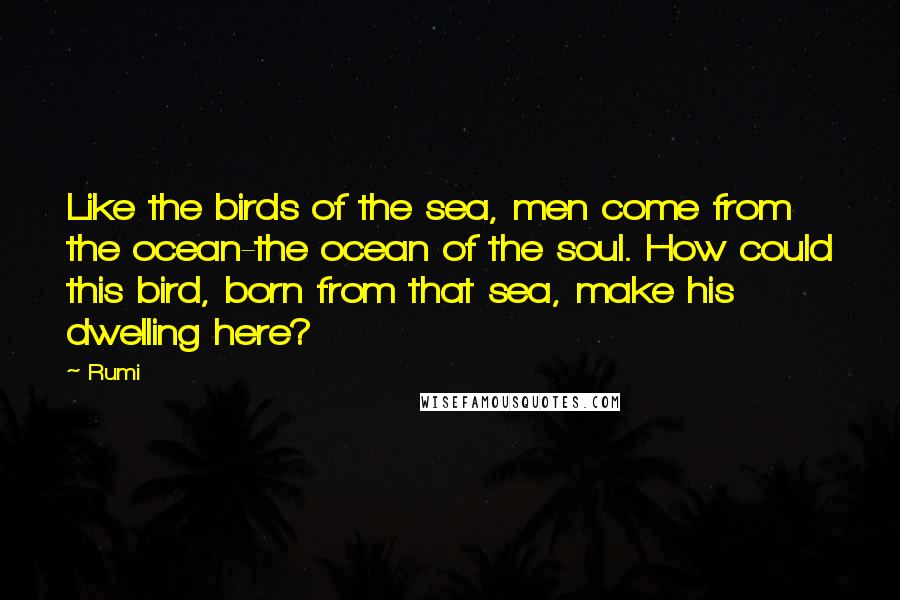 Rumi Quotes: Like the birds of the sea, men come from the ocean-the ocean of the soul. How could this bird, born from that sea, make his dwelling here?