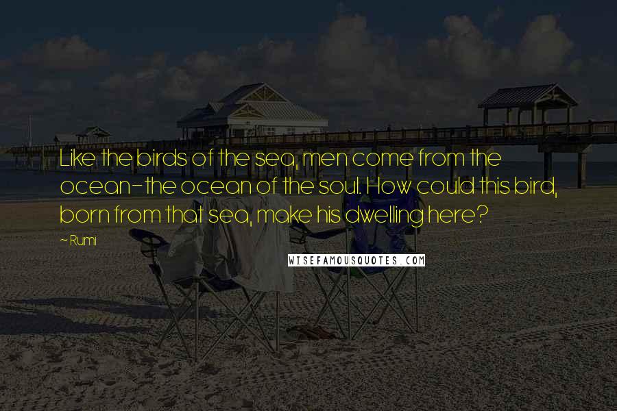 Rumi Quotes: Like the birds of the sea, men come from the ocean-the ocean of the soul. How could this bird, born from that sea, make his dwelling here?