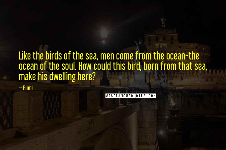 Rumi Quotes: Like the birds of the sea, men come from the ocean-the ocean of the soul. How could this bird, born from that sea, make his dwelling here?
