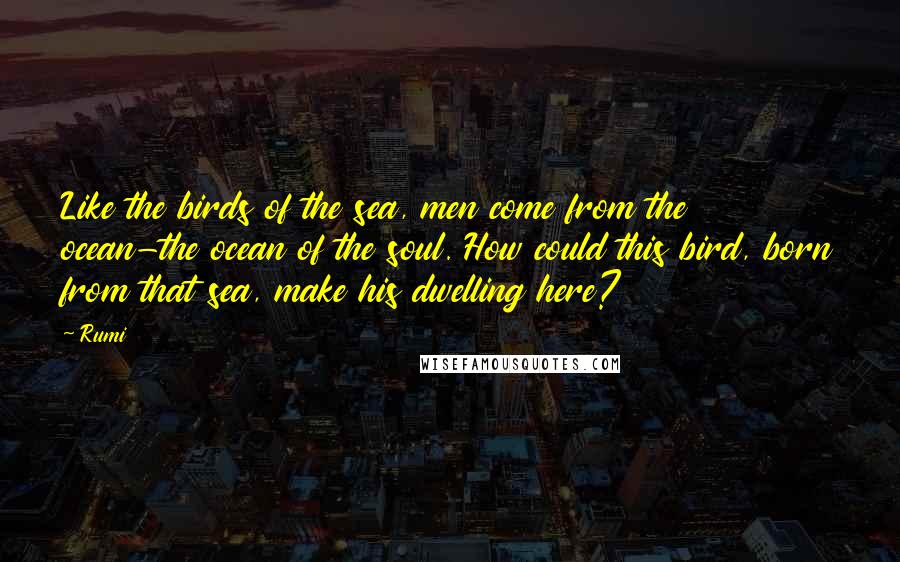 Rumi Quotes: Like the birds of the sea, men come from the ocean-the ocean of the soul. How could this bird, born from that sea, make his dwelling here?