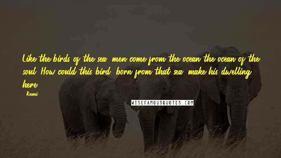 Rumi Quotes: Like the birds of the sea, men come from the ocean-the ocean of the soul. How could this bird, born from that sea, make his dwelling here?