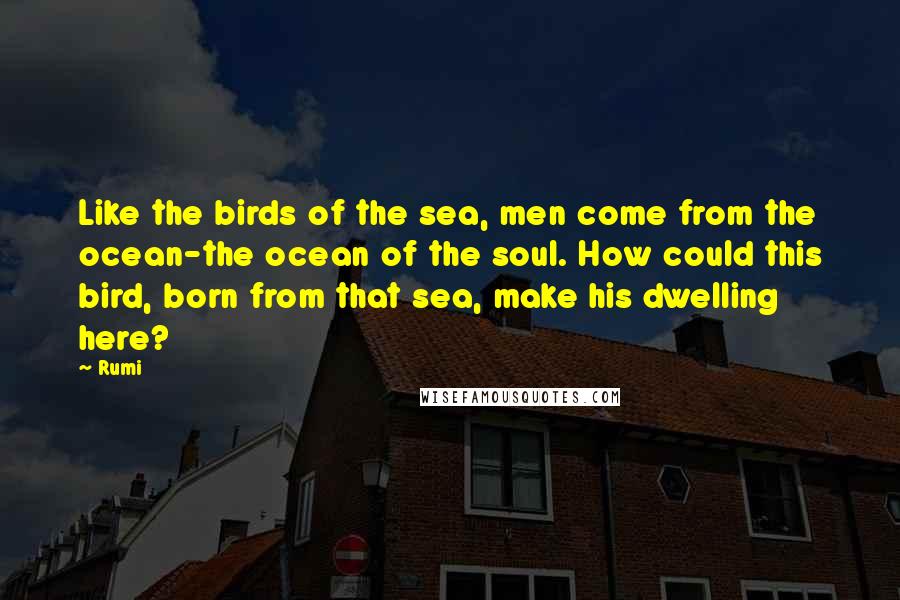 Rumi Quotes: Like the birds of the sea, men come from the ocean-the ocean of the soul. How could this bird, born from that sea, make his dwelling here?