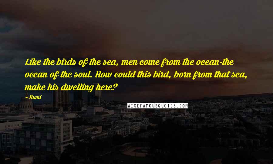 Rumi Quotes: Like the birds of the sea, men come from the ocean-the ocean of the soul. How could this bird, born from that sea, make his dwelling here?
