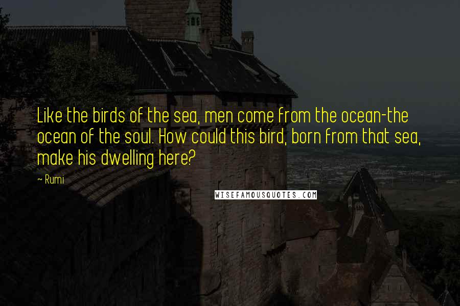 Rumi Quotes: Like the birds of the sea, men come from the ocean-the ocean of the soul. How could this bird, born from that sea, make his dwelling here?