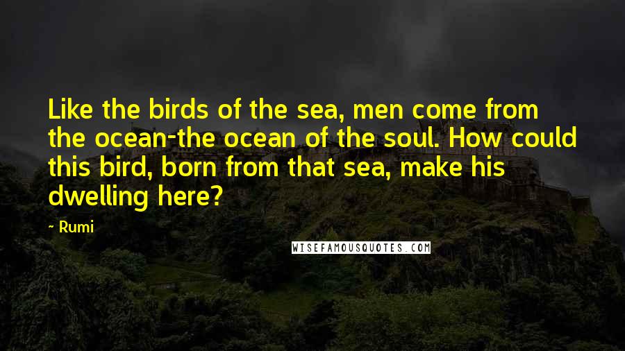 Rumi Quotes: Like the birds of the sea, men come from the ocean-the ocean of the soul. How could this bird, born from that sea, make his dwelling here?