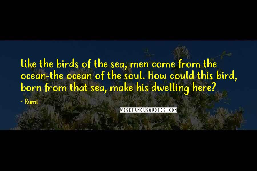 Rumi Quotes: Like the birds of the sea, men come from the ocean-the ocean of the soul. How could this bird, born from that sea, make his dwelling here?