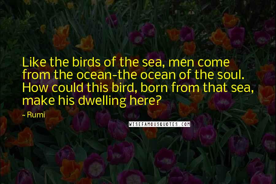 Rumi Quotes: Like the birds of the sea, men come from the ocean-the ocean of the soul. How could this bird, born from that sea, make his dwelling here?