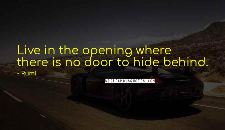 Rumi Quotes: Live in the opening where  there is no door to hide behind.