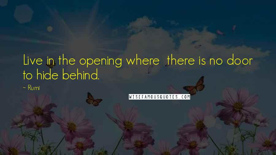 Rumi Quotes: Live in the opening where  there is no door to hide behind.