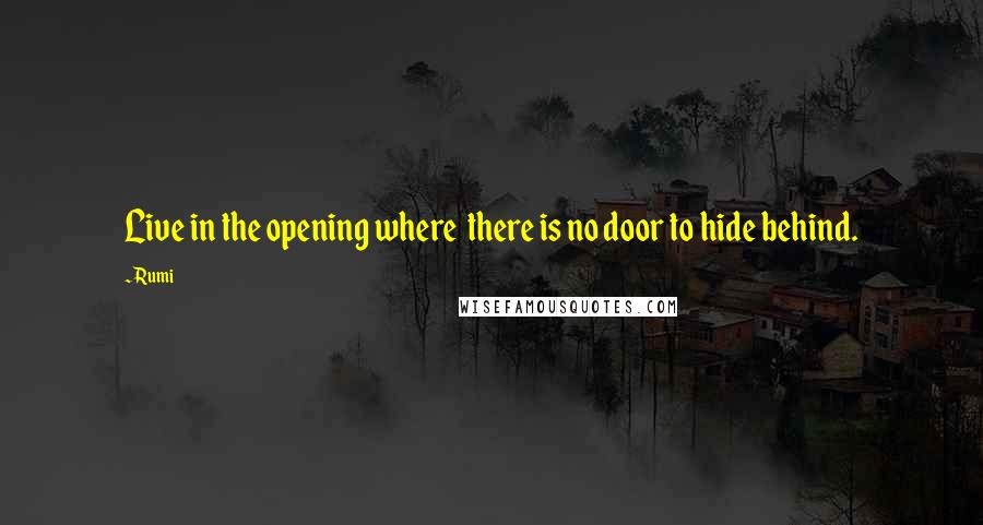 Rumi Quotes: Live in the opening where  there is no door to hide behind.