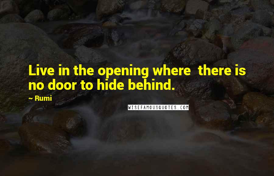 Rumi Quotes: Live in the opening where  there is no door to hide behind.