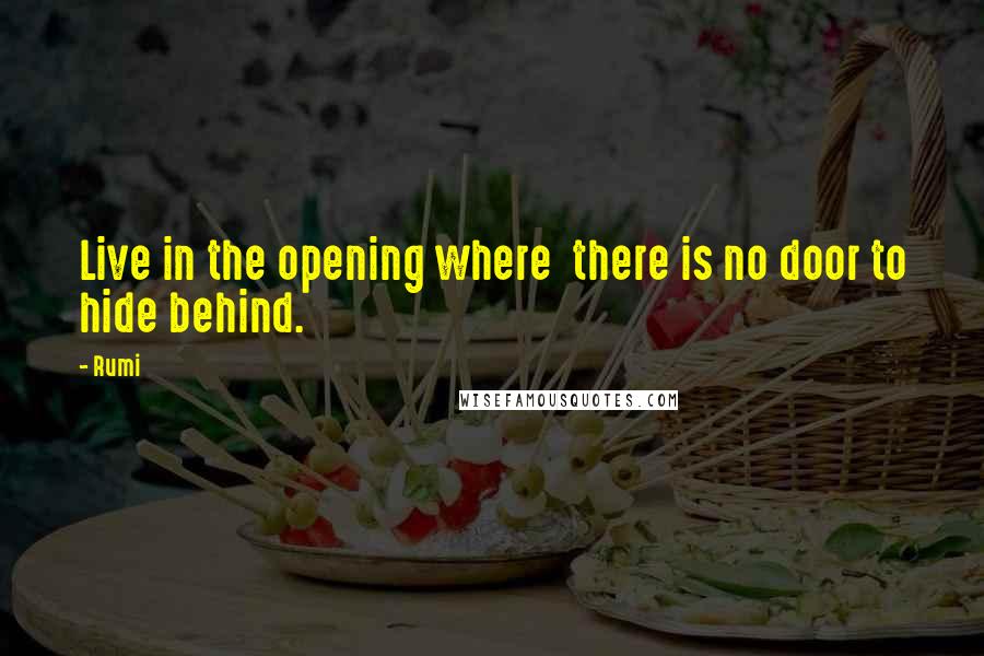 Rumi Quotes: Live in the opening where  there is no door to hide behind.