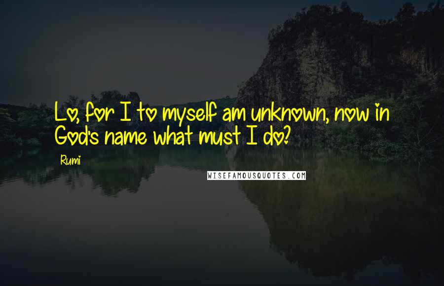 Rumi Quotes: Lo, for I to myself am unknown, now in God's name what must I do?