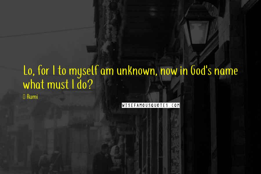 Rumi Quotes: Lo, for I to myself am unknown, now in God's name what must I do?