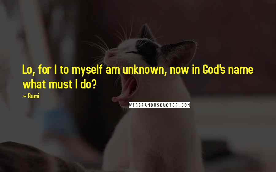 Rumi Quotes: Lo, for I to myself am unknown, now in God's name what must I do?