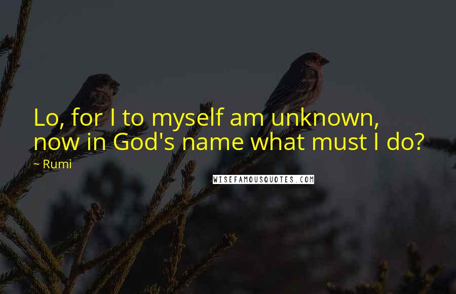 Rumi Quotes: Lo, for I to myself am unknown, now in God's name what must I do?