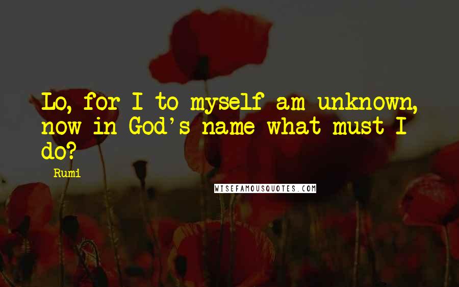 Rumi Quotes: Lo, for I to myself am unknown, now in God's name what must I do?