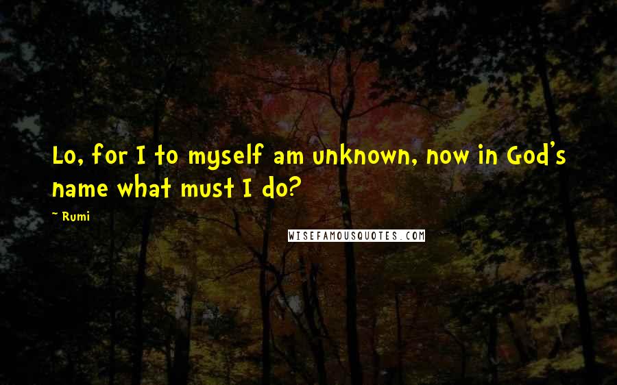 Rumi Quotes: Lo, for I to myself am unknown, now in God's name what must I do?
