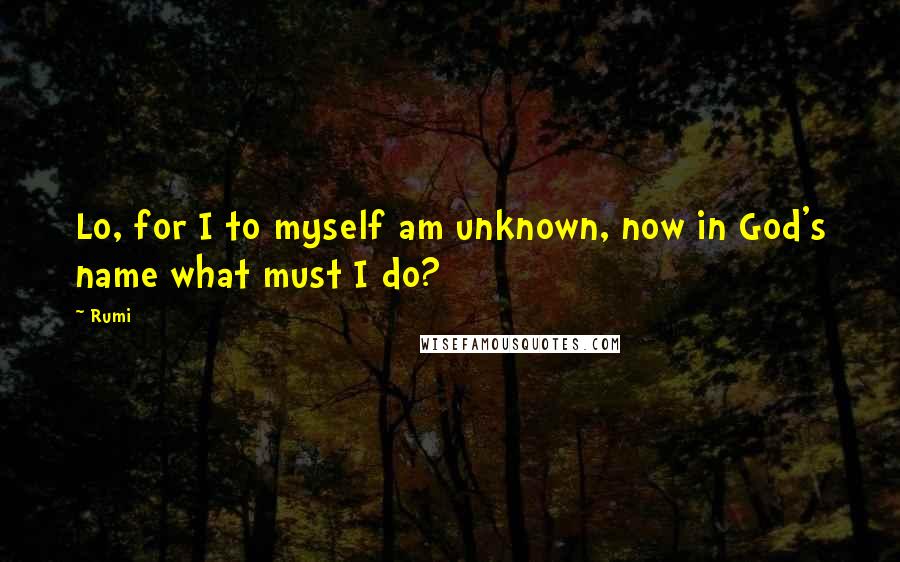 Rumi Quotes: Lo, for I to myself am unknown, now in God's name what must I do?