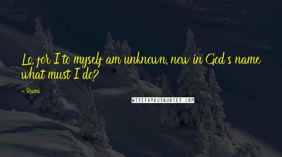 Rumi Quotes: Lo, for I to myself am unknown, now in God's name what must I do?