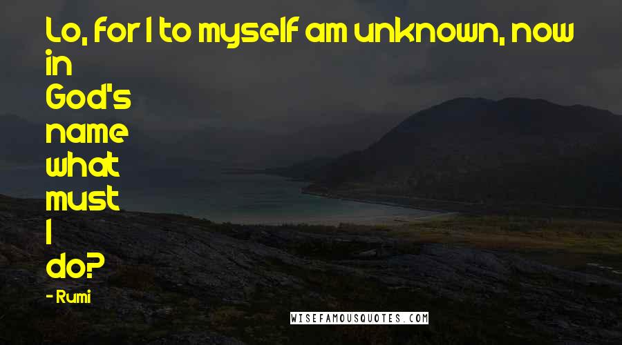 Rumi Quotes: Lo, for I to myself am unknown, now in God's name what must I do?