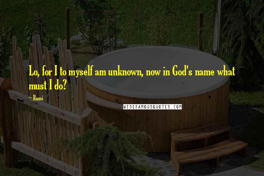 Rumi Quotes: Lo, for I to myself am unknown, now in God's name what must I do?