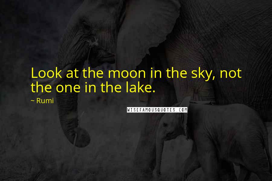 Rumi Quotes: Look at the moon in the sky, not the one in the lake.