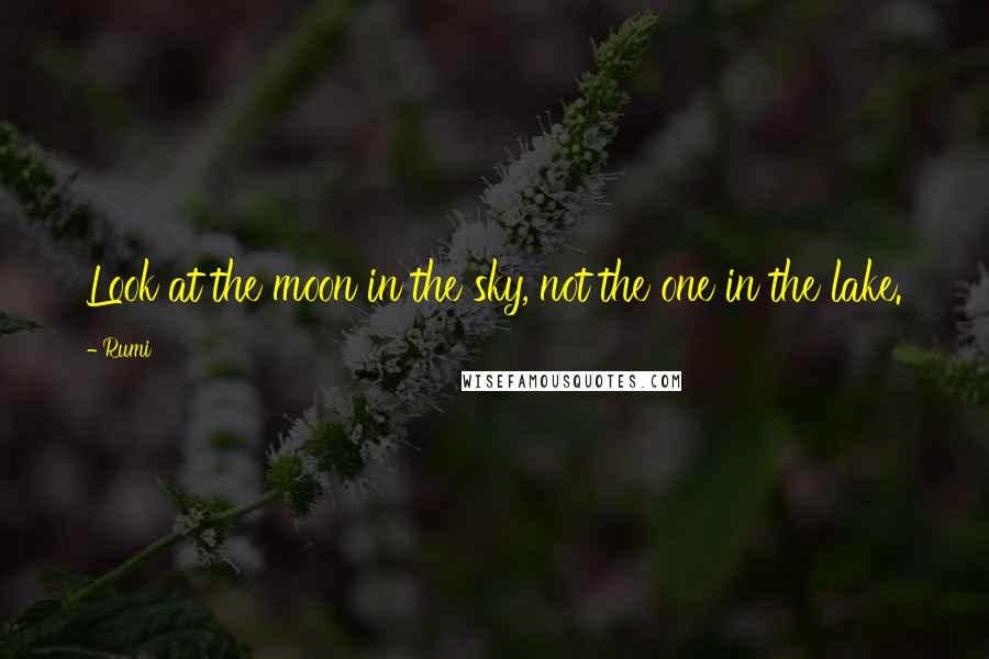 Rumi Quotes: Look at the moon in the sky, not the one in the lake.