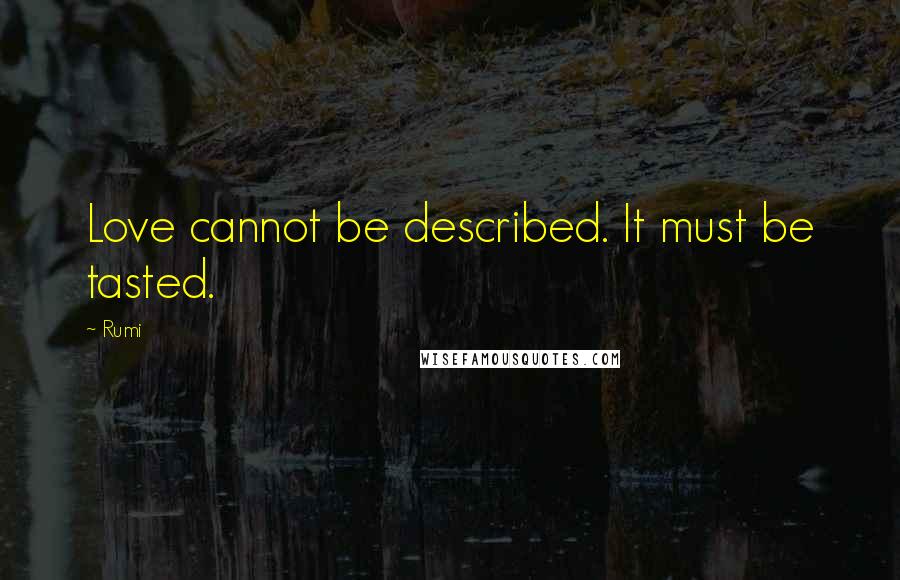 Rumi Quotes: Love cannot be described. It must be tasted.